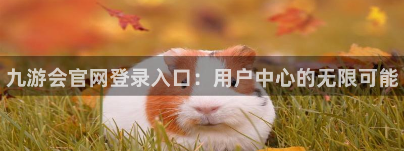 新城平台体育官网：九游会官网登录入口：用户中心的无限可能
