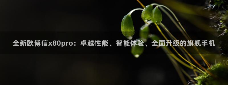 新城平台代理注册官网入口：全新欧博信x80pro：卓越性能、智能体验、全面升级的