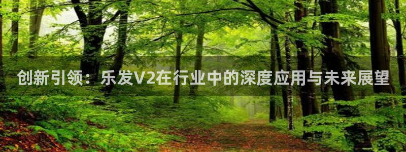 新城平台体育老板是谁：创新引领：乐发V2在行业中的深度应用与未来展望