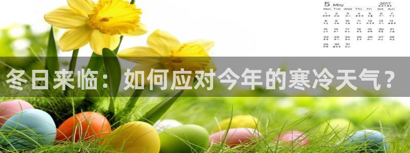 新城平台体育：冬日来临：如何应对今年的寒冷天气？