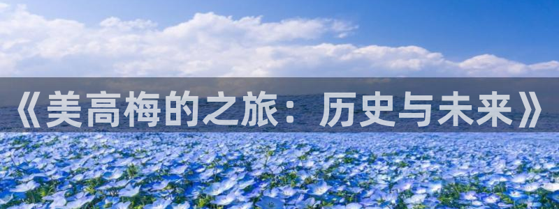 新城平台2注册：《美高梅的之旅：历史与未来》