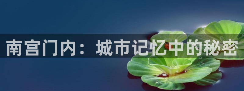 新城平台集团：南宫门内：城市记忆中的秘密