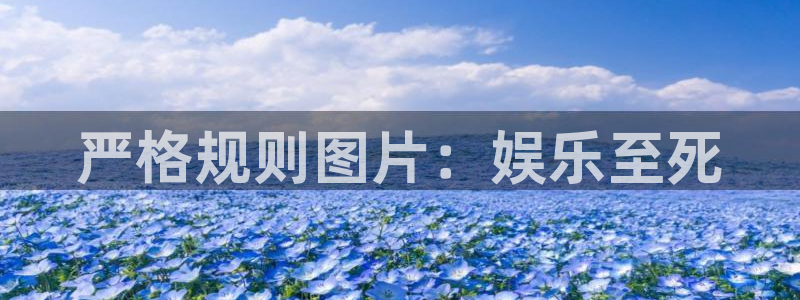 新城平台5招商：严格规则图片：娱乐至死