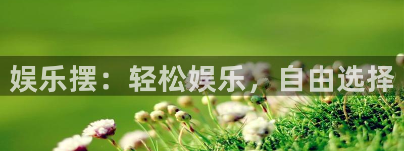 新城平台体育免费注册入口：娱乐摆：轻松娱乐，自由选择