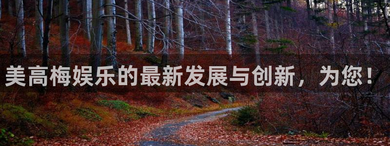 新城平台2平台：美高梅娱乐的最新发展与创新，为您！