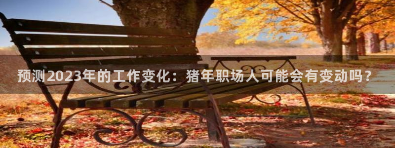 新城平台3登陆：预测2023年的工作变化：猪年职场人可能会有变动吗？