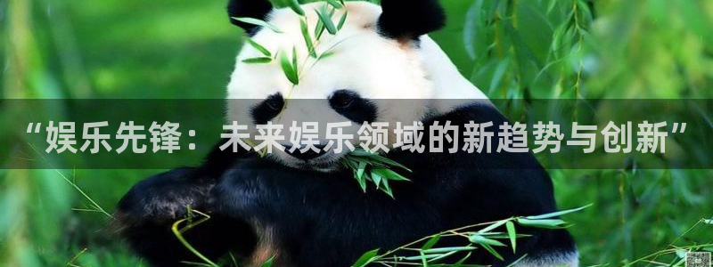 新城平台：“娱乐先锋：未来娱乐领域的新趋势与创新”