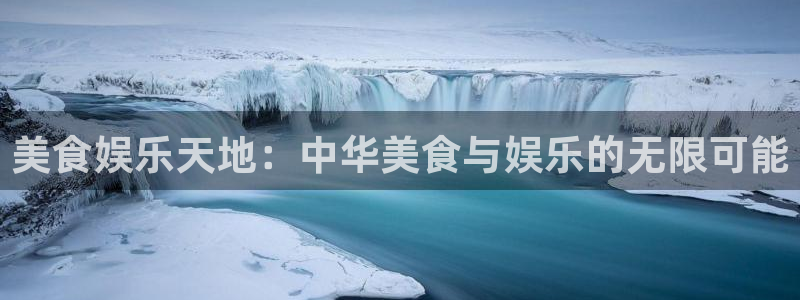 新城平台招商：美食娱乐天地：中华美食与娱乐的无限可能