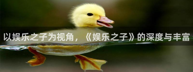 新城平台体育2官网入口：以娱乐之子为视角，《娱乐之子》的深度与丰富