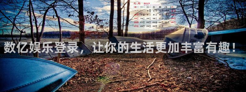 新城平台平台主管：数亿娱乐登录，让你的生活更加丰富有趣！