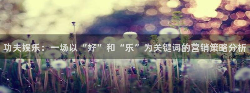 新城平台体育平台总代理：功夫娱乐：一场以“好”和“乐”为关键词的营销策略分析