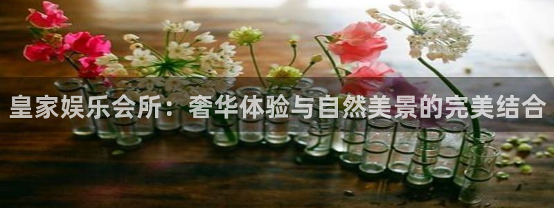 新城平台现在优惠多少：皇家娱乐会所：奢华体验与自然美景的完美结合