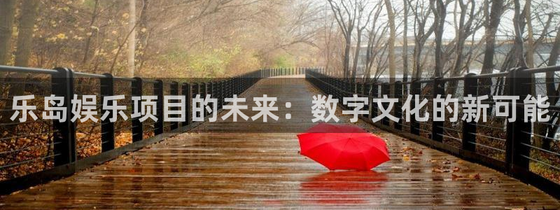 新城平台2登录入口：乐岛娱乐项目的未来：数字文化的新可能