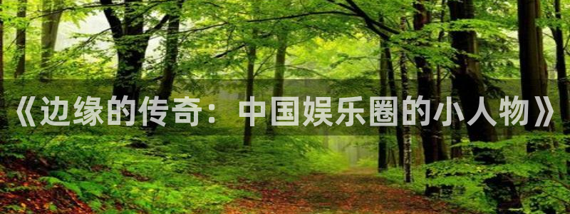www.新城平台体育.com：《边缘的传奇：中国娱乐圈的小人物》