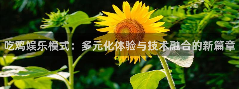 福建新城平台机电股份公司：吃鸡娱乐模式：多元化体验与技术融合的新篇章