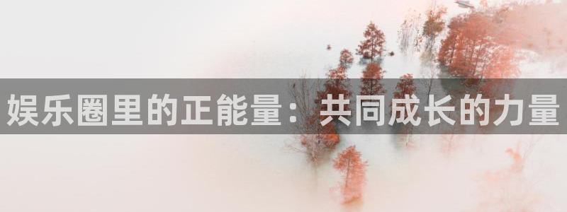 新城平台股份：娱乐圈里的正能量：共同成长的力量