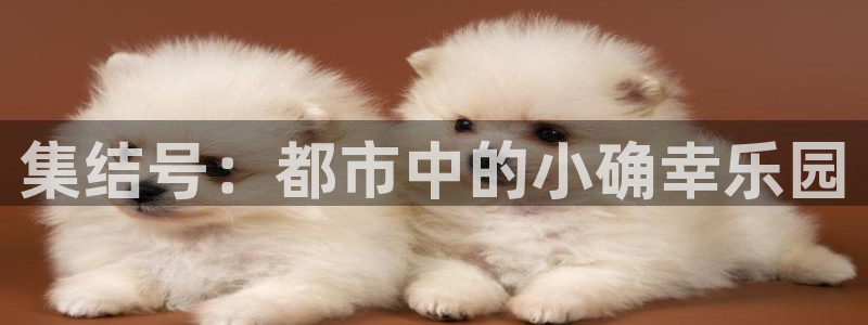 新城平台体育平台总代理：集结号：都市中的小确幸乐园