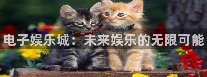 新城平台包怎么样：电子娱乐城：未来娱乐的无限可能