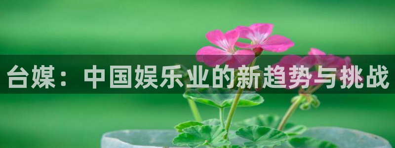 新城平台体育注册：台媒：中国娱乐业的新趋势与挑战