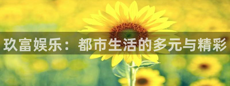 新城平台平台