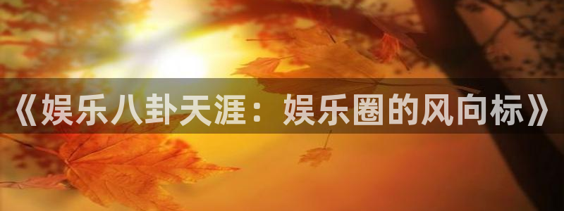新城平台2登录地址：《娱乐八卦天涯：娱乐圈的风向标》