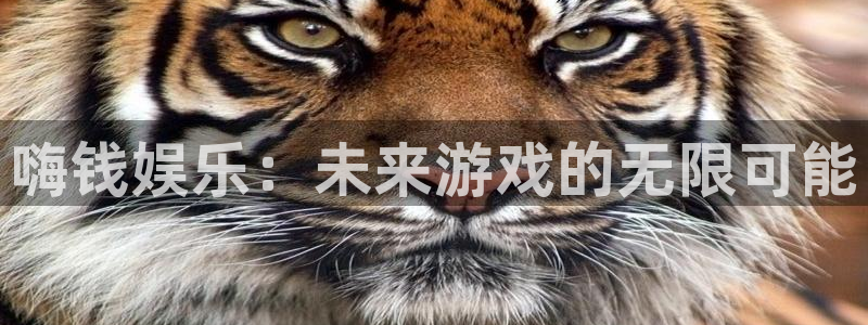 新城平台官网：嗨钱娱乐：未来游戏的无限可能