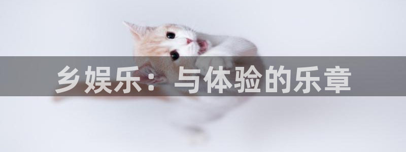 新城平台集团官网：乡娱乐：与体验的乐章