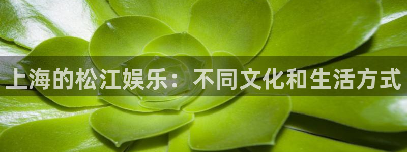 新城平台3代理：上海的松江娱乐：不同文化和生活方式