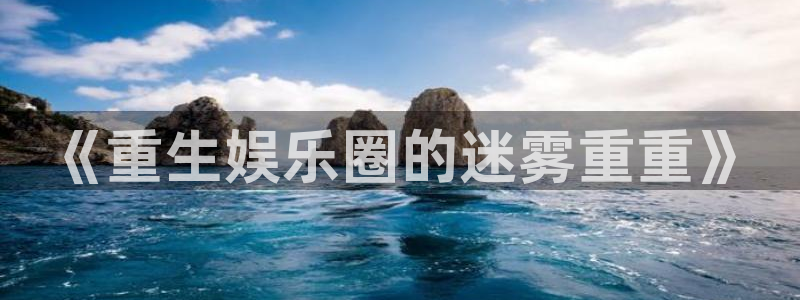 东莞市新城平台电子科技有限公司：《重生娱乐圈的迷雾重重》