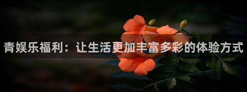 新城平台体育官网入口登录：青娱乐福利：让生活更加丰富多彩的体验方式