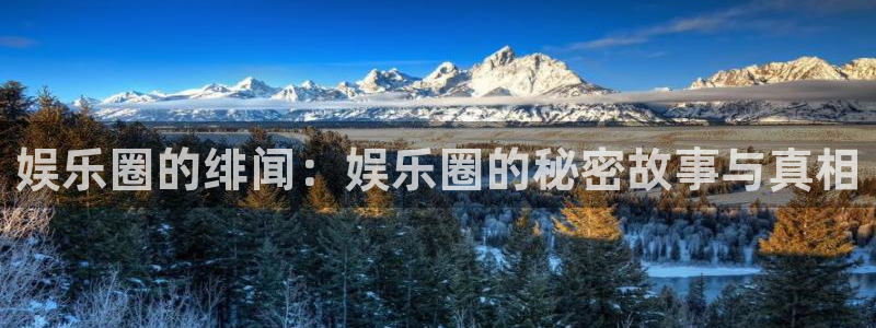 新城平台体育平台总代理：娱乐圈的绯闻：娱乐圈的秘密故事与真相